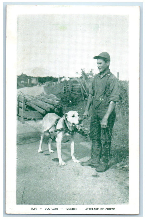 c1940's Dog Cart Quebec Attelage De Chiens Canada Unposted Vintage Postcard