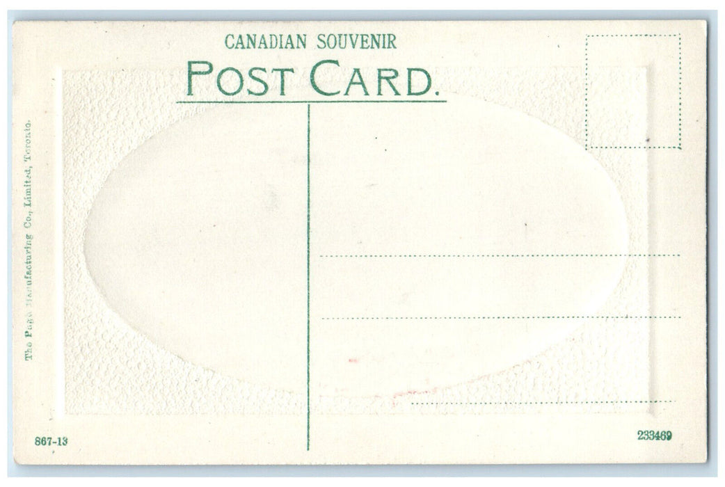 c1910 City Hall Regina Saskatchewan Canada Embossed Antique Postcard