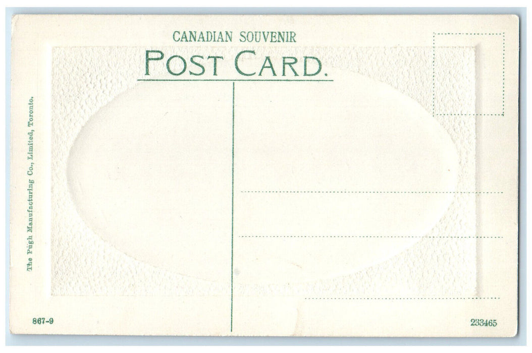 c1910 Scarth St. Looking South Regina Saskatchewan Canada Embossed Postcard