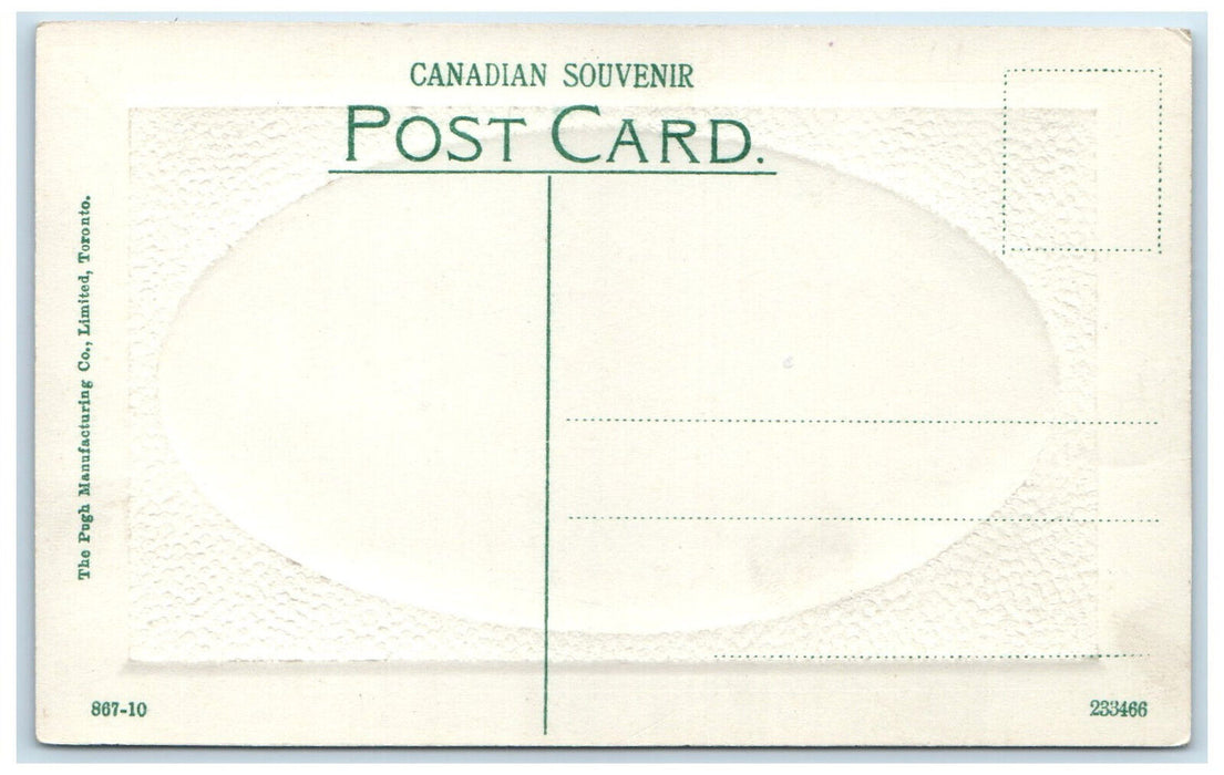 c1910 Stanley Park Regina Saskatchewan Canada Embossed Antique Postcard