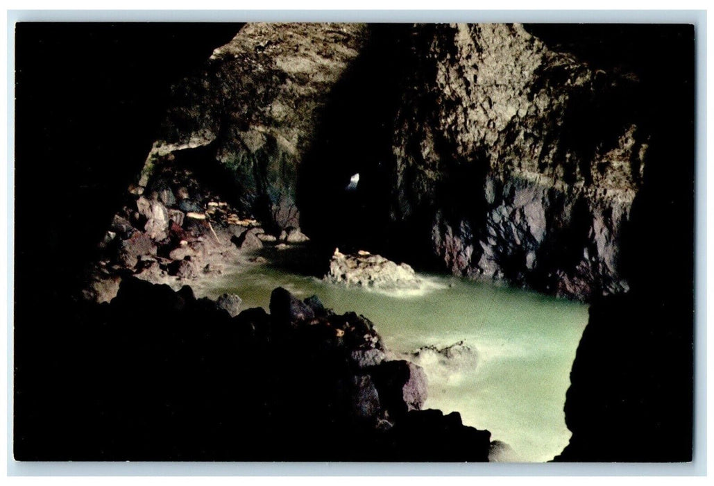 1960 Sea Lion Cave Oregon Coast Interior Sea Lion Caves Florence Oregon Postcard