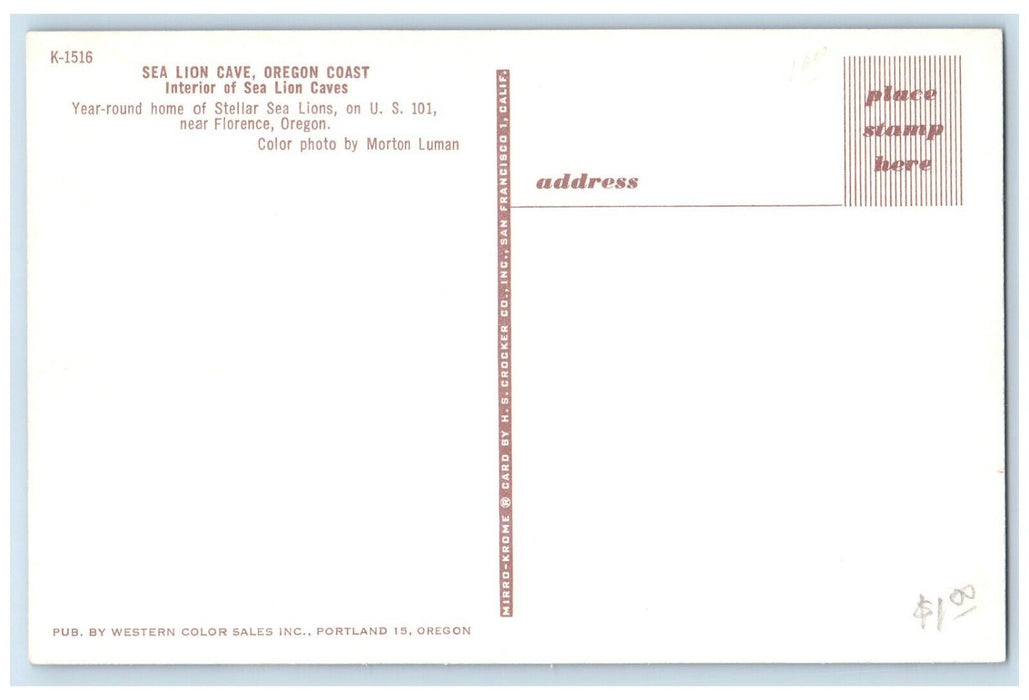 1960 Sea Lion Cave Oregon Coast Interior Sea Lion Caves Florence Oregon Postcard