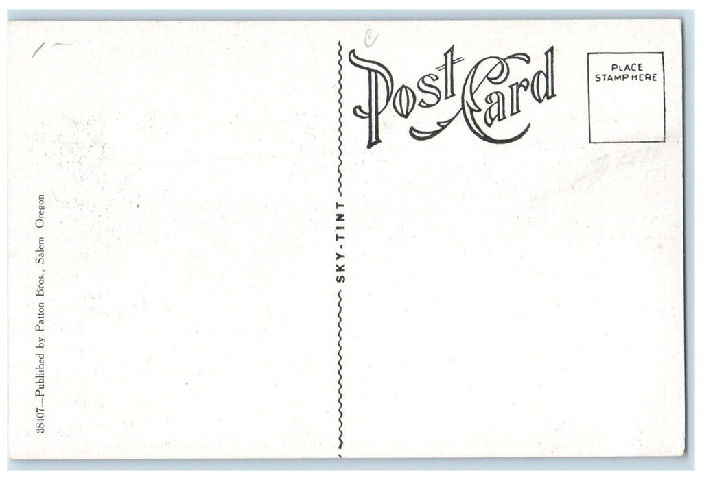 c1910 Partial Bird's-Eye Dome State Looking West Capitol Salem Oregon Postcard