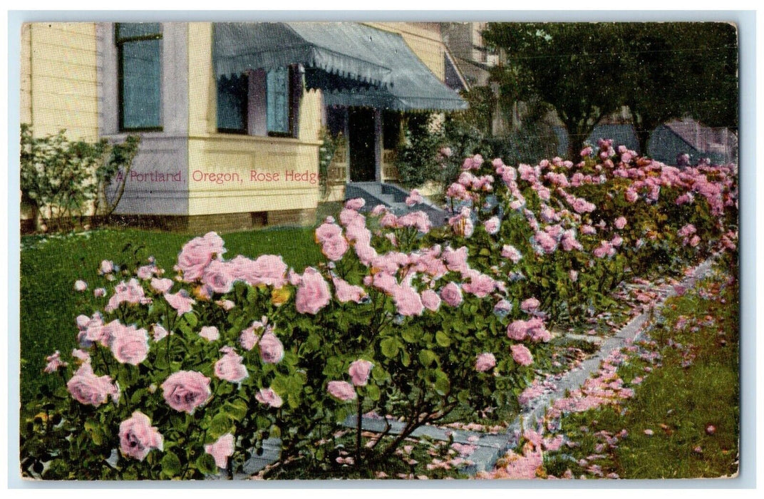 1913 Rose Hedge Exterior Building Rose Flowers Field Portland Oregon OR Postcard