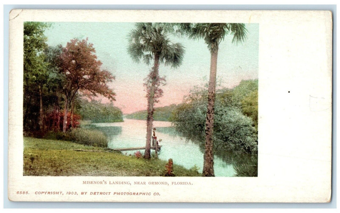 c1905 Scenic View River Palm Trees Misenor Landing Ormond Florida FL Postcard