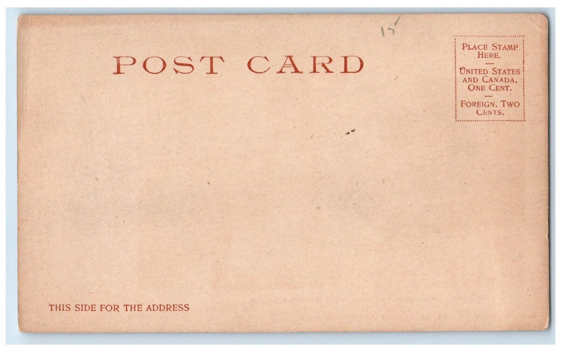 c1905 Scenic View River Palm Trees Misenor Landing Ormond Florida FL Postcard