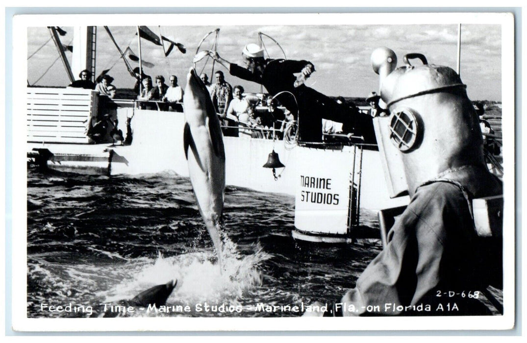 Feeding Time Marine Studios Marineland Florida FL Cline RPPC Photo Postcard