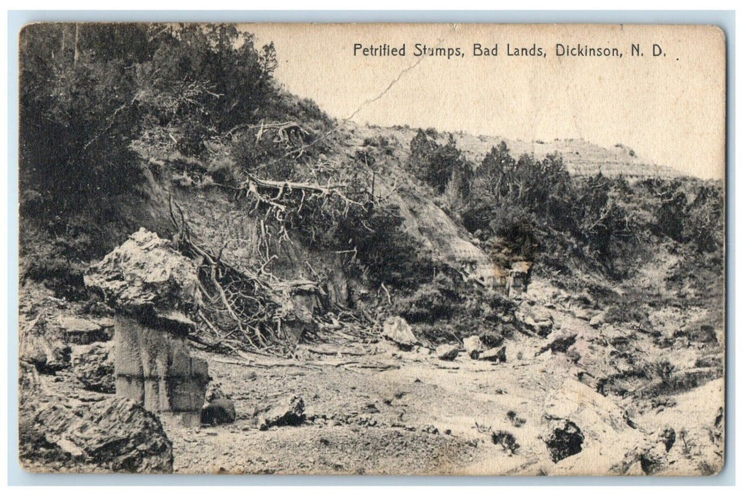 c1910's Petrified Stumps Bad Lands Dickinson North Dakota ND Rotograph Postcard
