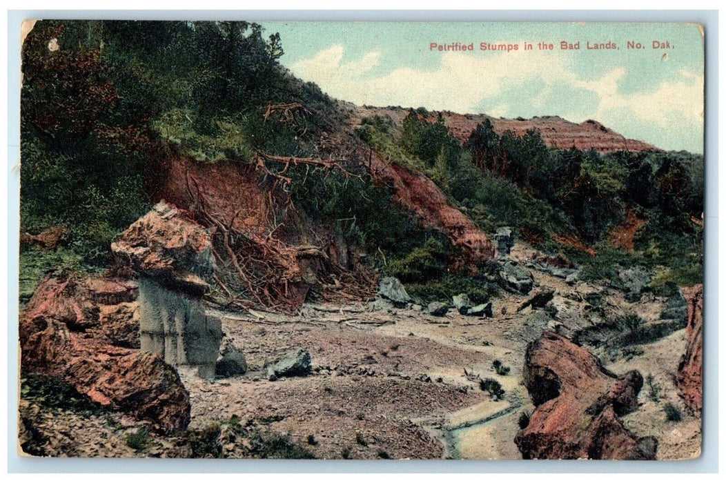 1909 View Of Petrified Stumps In The Bad Lands North Dakota ND Antique Postcard