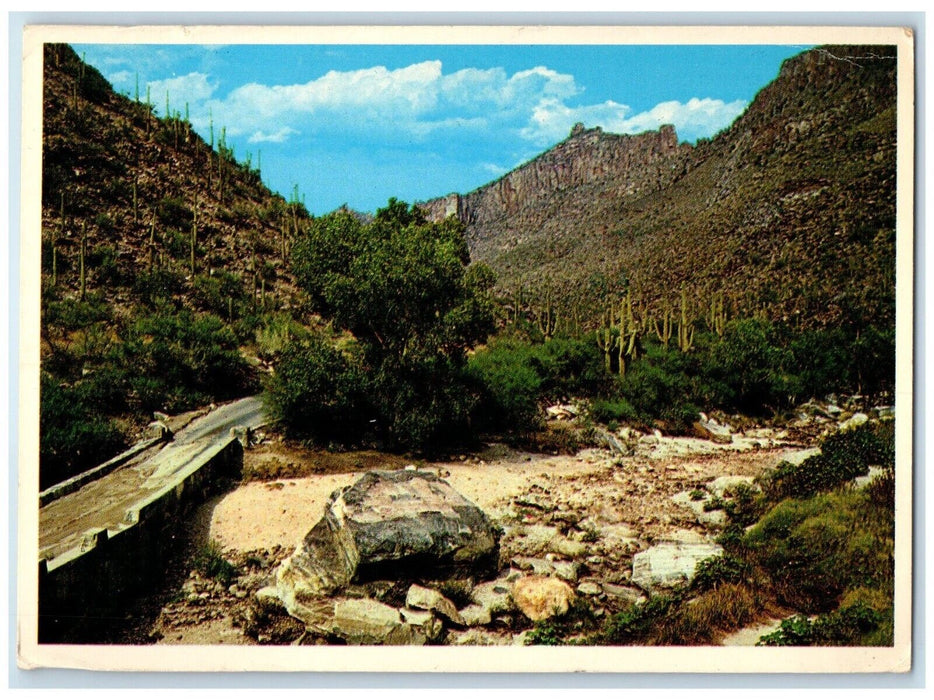 1985 View Of Sabino Canyon Tucson Arizona AZ Posted Vintage Postcard