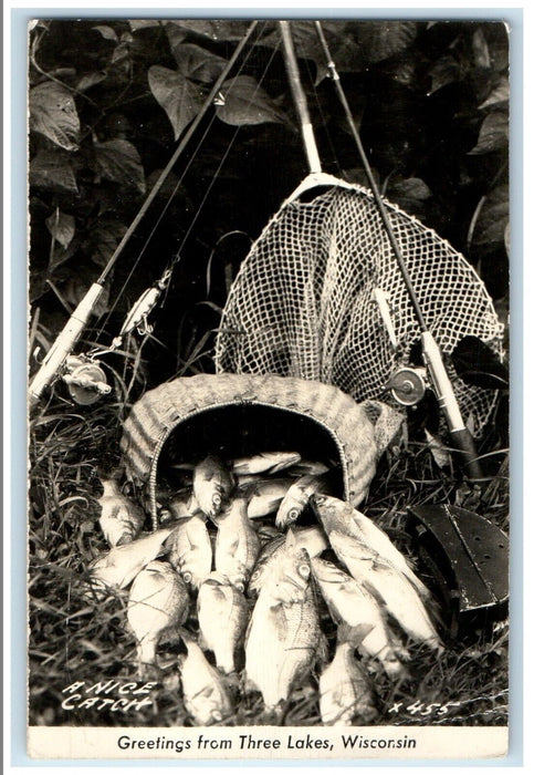 Greetings From Three Lakes Wisconsin WI, A Nice Catch Fishes RPPC Photo Postcard