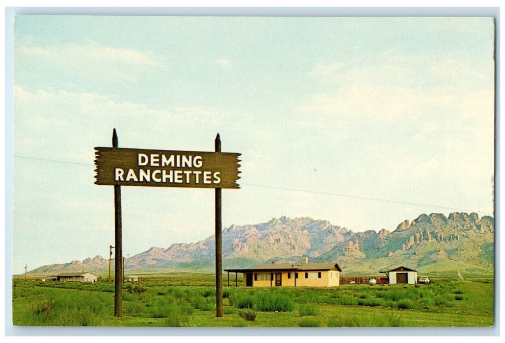 c1960 New Homes Deming Ranchettes Deming New Mexico NM Vintage Unposted Postcard