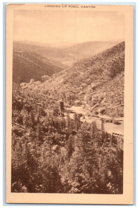 c1940 Looking Up Ponil Canyon Philmont Scout Ranch Cimarron New Mexico Postcard