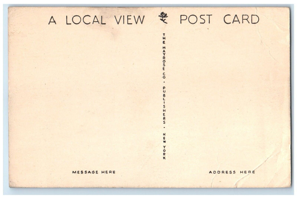c1940 Bridge Tower Roadway Pocomoke City Maryland MD Antique Local View Postcard