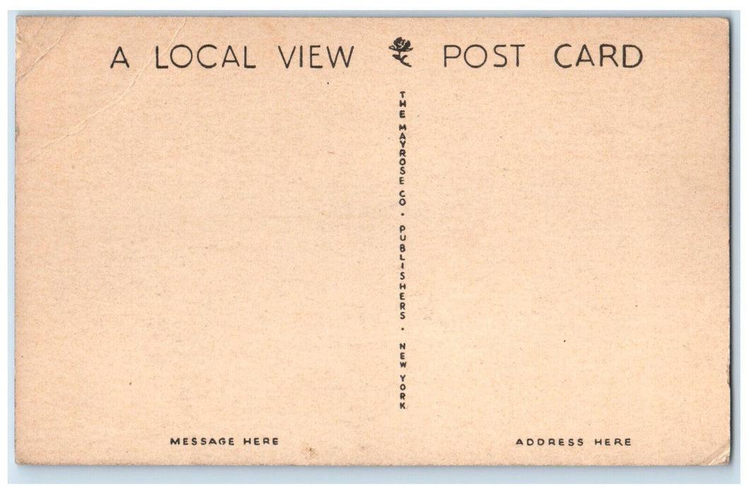 1940 Scenic View Potato Field Blossom Pocomoke City Maryland Local View Postcard