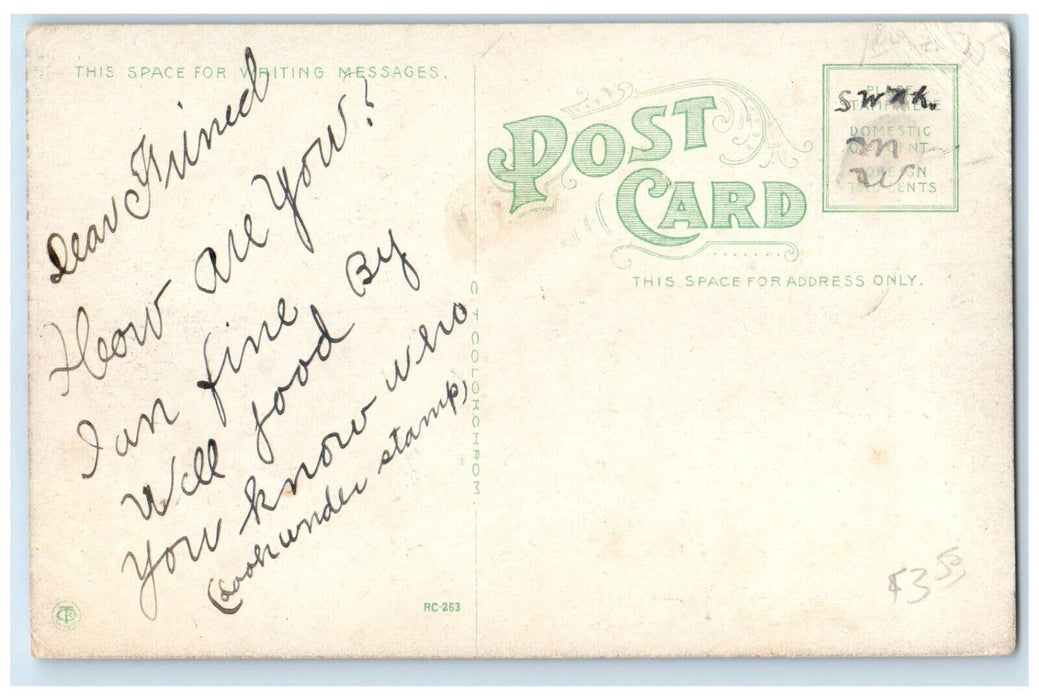 c1930's Carnegie Free Library Building Burlington Kansas KS Antique Postcard