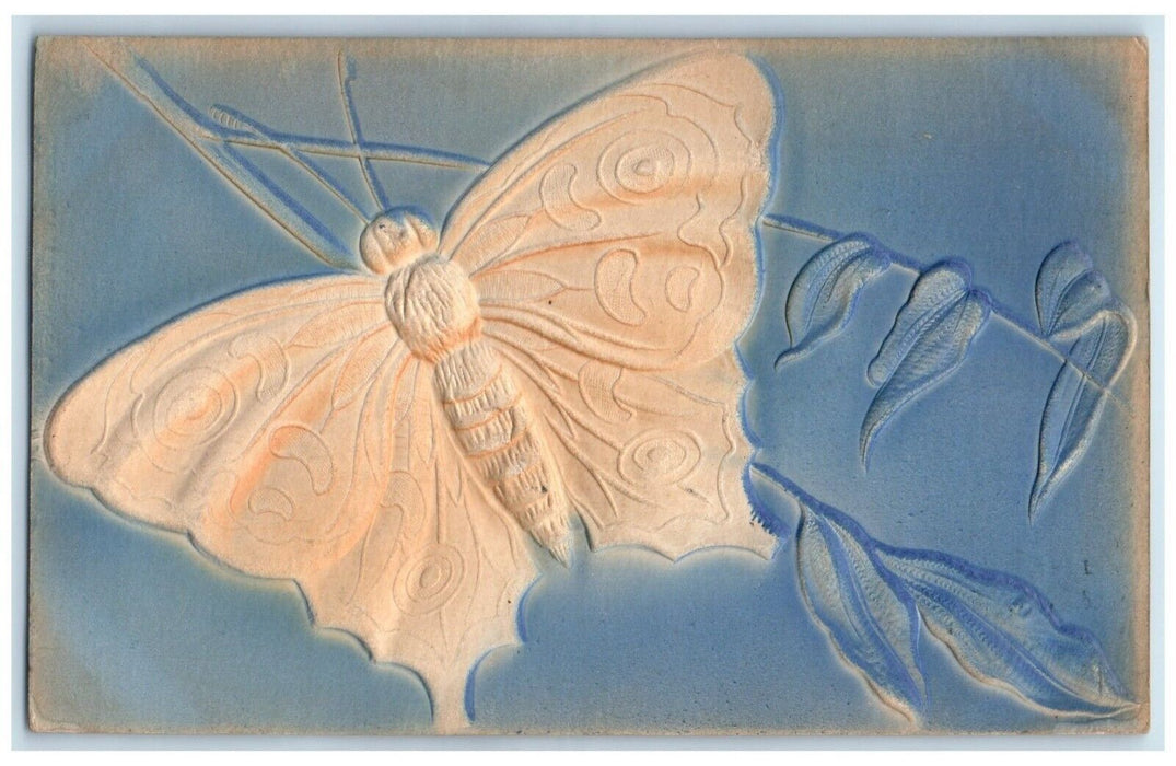 c1910's Big Butterfly Airbrushed Embossed Dallas Oregon OR Antique Postcard