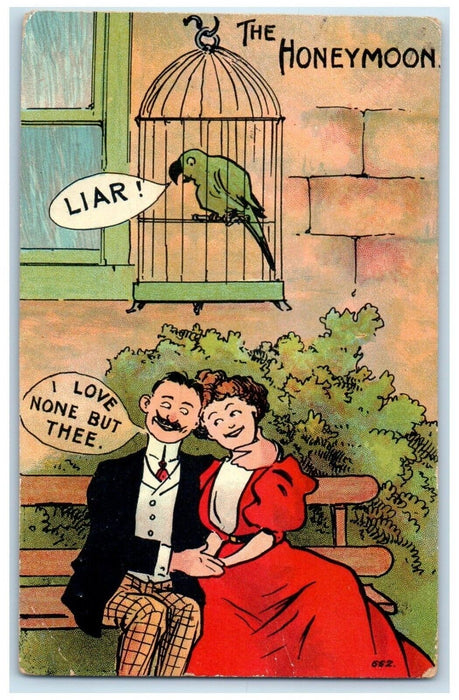 c1910's The Honeymoon Husband Cheating Parrot Dickinson North Dakota ND Postcard