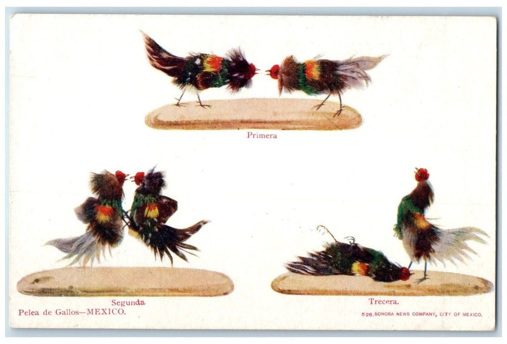 c1905 Cock Fight Segunda Trecera Primera Pelea De Gallos Mexico Postcard