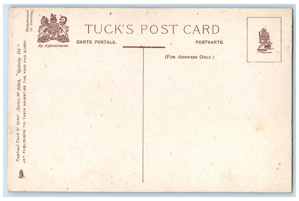 c1910's View Of Ravine In South Park Quincy Illinois IL Tuck's Antique Postcard