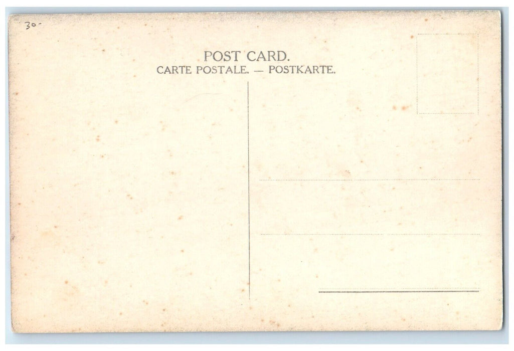 c1910's Red Star Line Steamer Lapland Steamer Ship Boat Antique Postcard