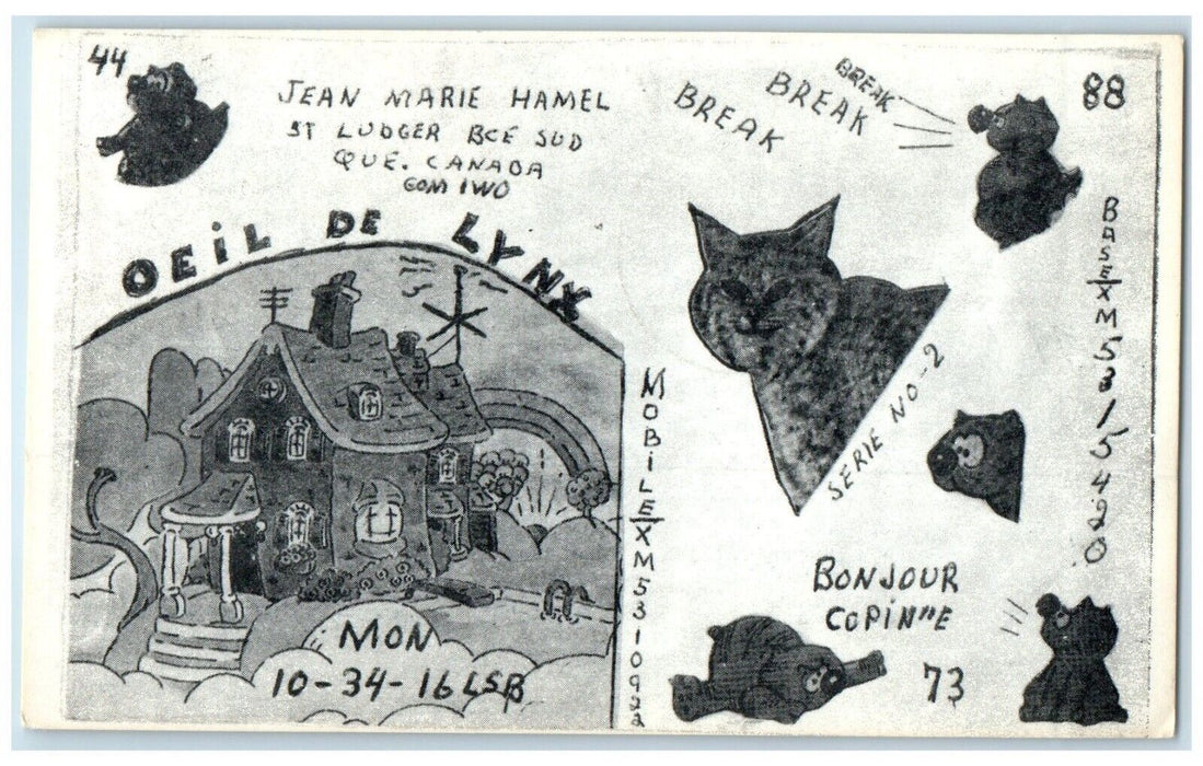 c1905 Cat Ham Radio St. Ludger Oeil De Lynx Quebec Canada Antique Postcard