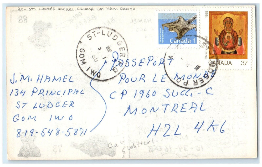 c1905 Cat Ham Radio St. Ludger Oeil De Lynx Quebec Canada Antique Postcard