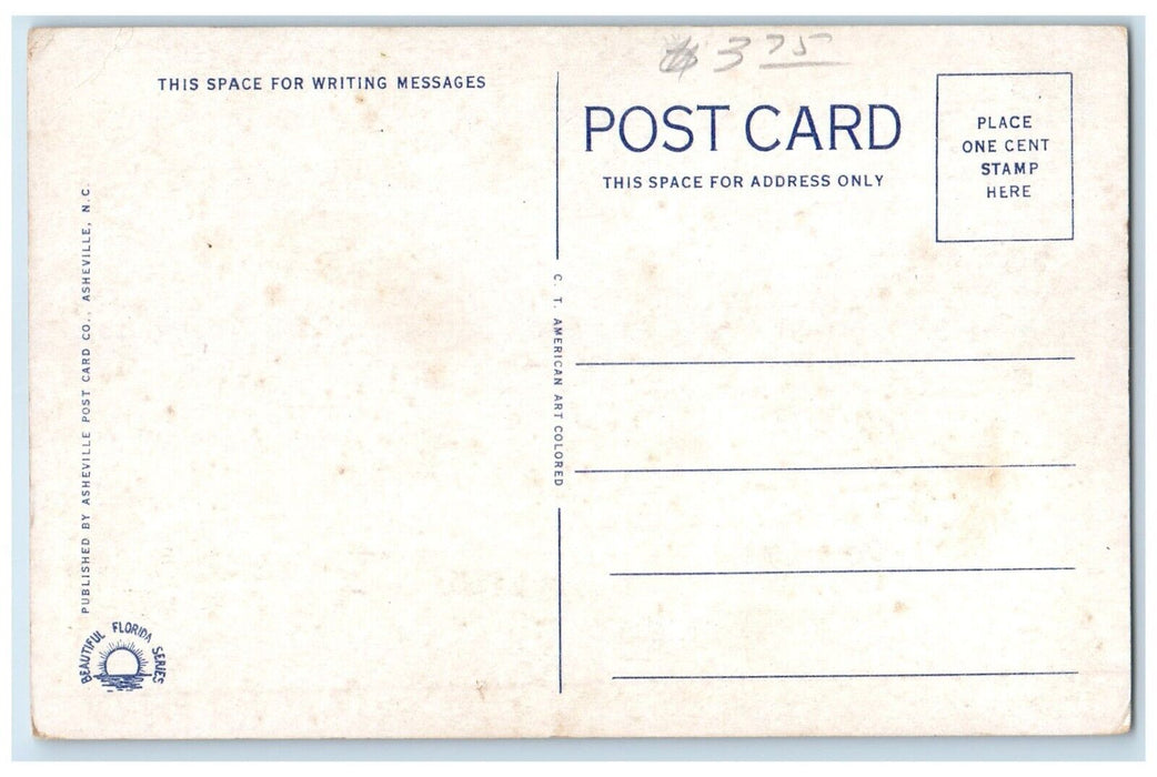c1920 Exterior View Hotel College Arms Building Flag De Land Florida FL Postcard