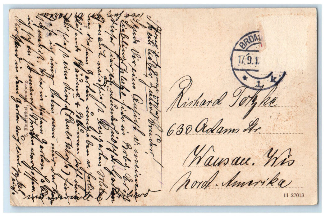 c1910 View of Regierungsgarten Bromberg Austria Unposted Antique Postcard