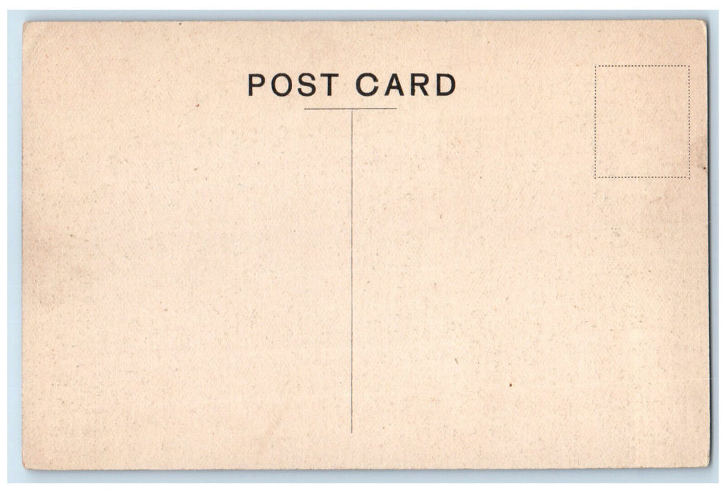 c1910 The Sunk Gardens Mountstewart Newtownards Northern Ireland Postcard