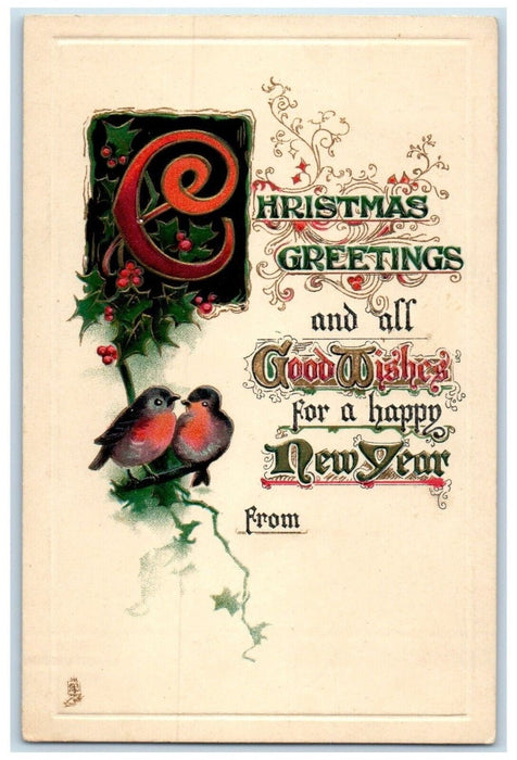 Christmas Greetings And New Year Holly Berries Song Birds Tuck's Posted Postcard