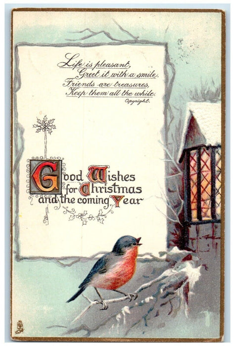 c1910's Christmas Song Bird House Winter Embossed Tuck's Posted Antique Postcard
