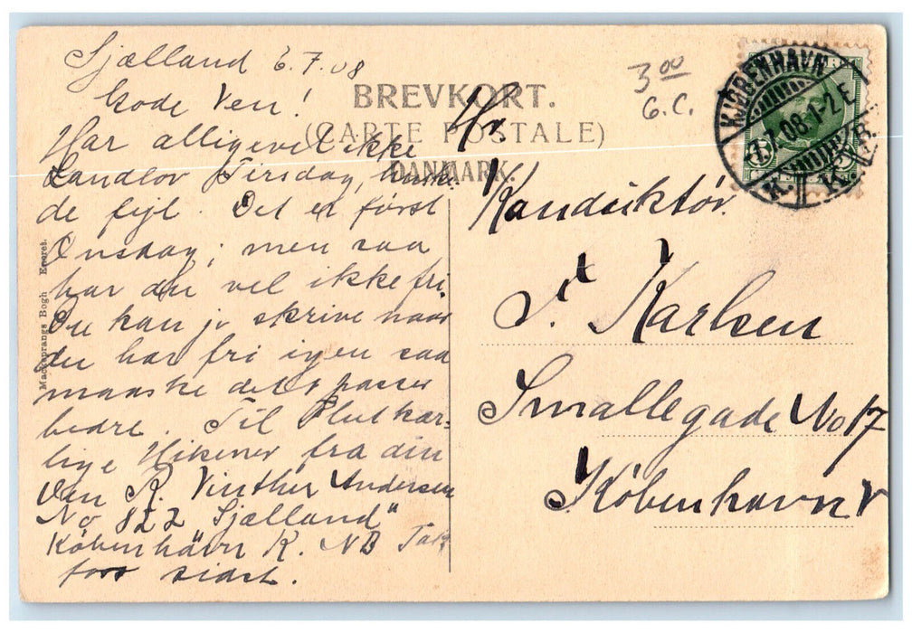 1908 Czar's House The Palm terrace Nykøbing Falster Denmark Postcard