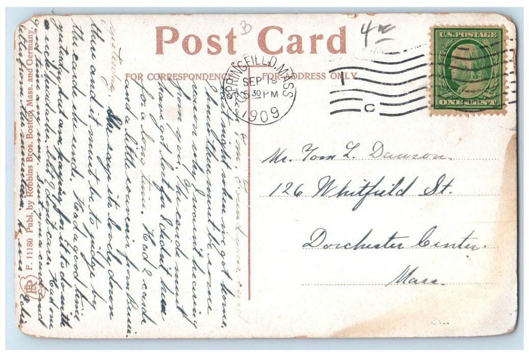 1909 Logs Connecticut River Mt Tom Holyoke Massachusetts Posted Vintage Postcard
