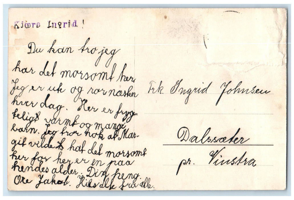 c1910 River View Sjusjøen Guest House and Nearby Houses Norway Postcard