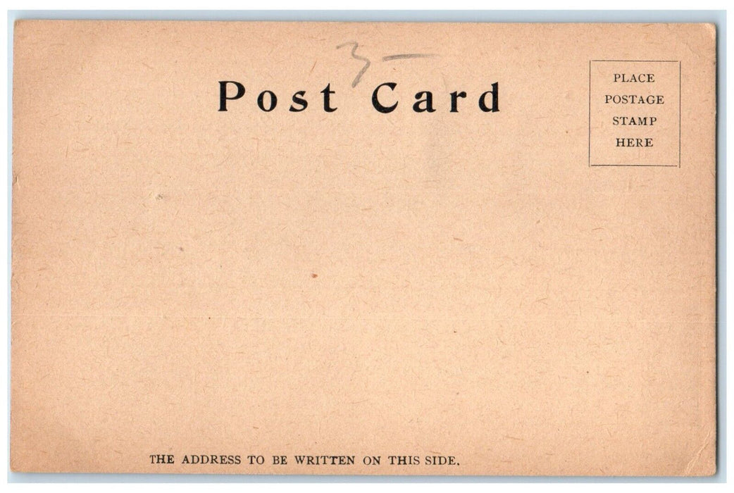 c1905 Williston Hall Shattuck Hall Mt Holyoke College Massachusetts MA Postcard