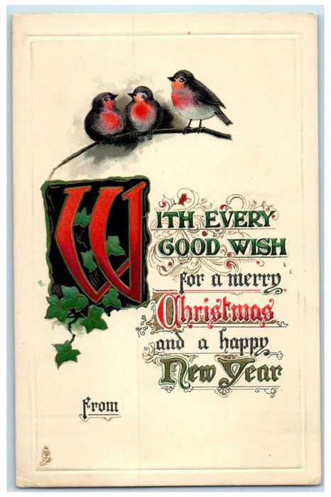 c1910's Christmas And New Year Birds Ivy Leaf Embossed Tuck's Antique Postcard