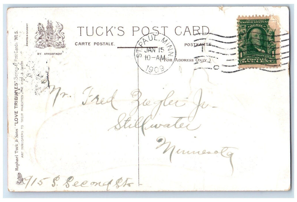 1909 Valentine Dutch Kids Love In A Sausage Embossed St. Paul MN Tuck's Postcard