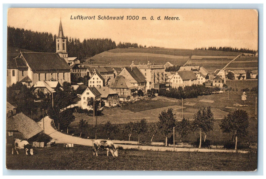 c1910 Luftkurort Schönwald im Schwarzwald Baden-Württemberg Germany Postcard