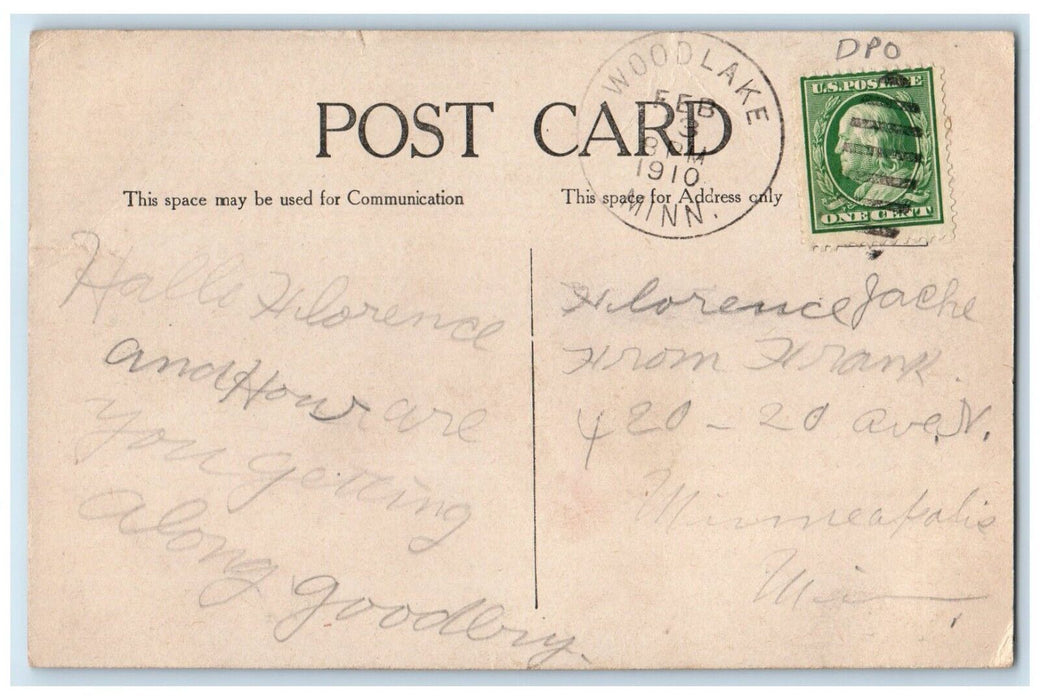 c1910's Valentine Hearts Butterflies Flowers Woodlake Minnesota MN Postcard