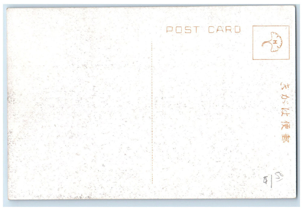 c1910 Shinko Kumamoto Hakurankai Kobe Japan Antique Unposted Postcard