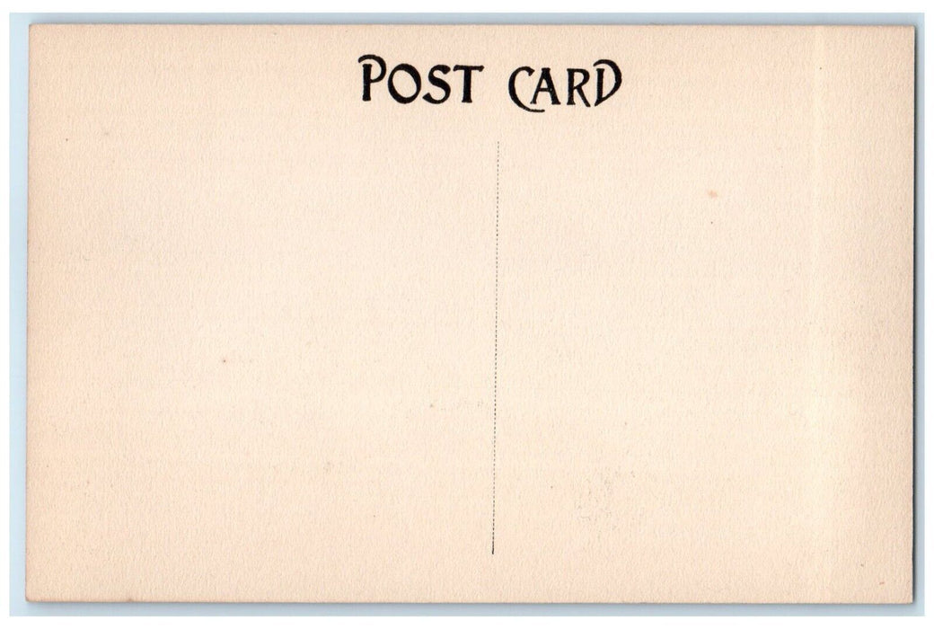 c1910's View From Dennis College Conneaut Lake Pennsylvania PA Antique Postcard