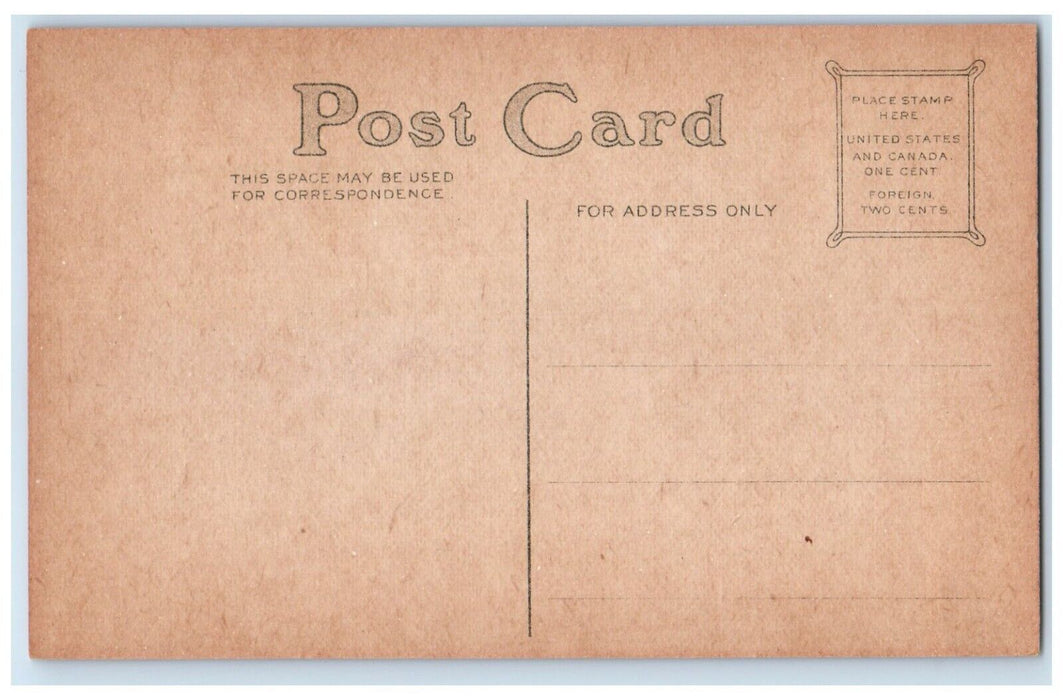 c1910's Valentine Cupid Angels With Heart Bird Unposted Antique Postcard