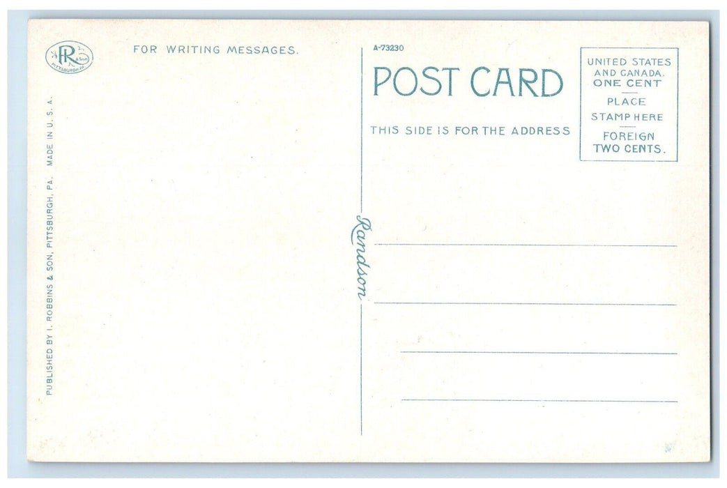 c1910 Birds Eye Polish Alliance College Cambridge Springs Pennsylvania Postcard