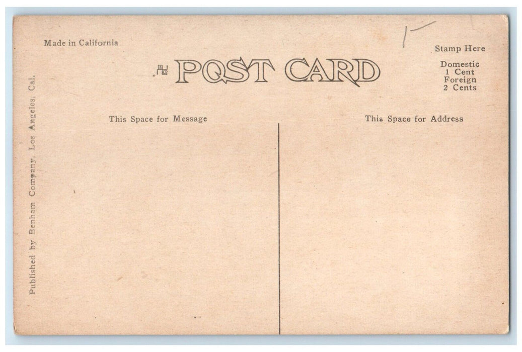 c1910's Home Of Adolphus Busch Orange Grove Pasadena California CA Postcard
