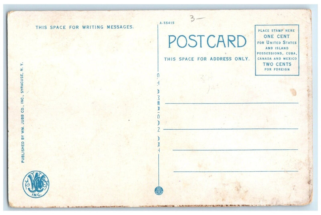 c1920 Busy Day Streetcar North James Street Rome New York NM Unposted Postcard
