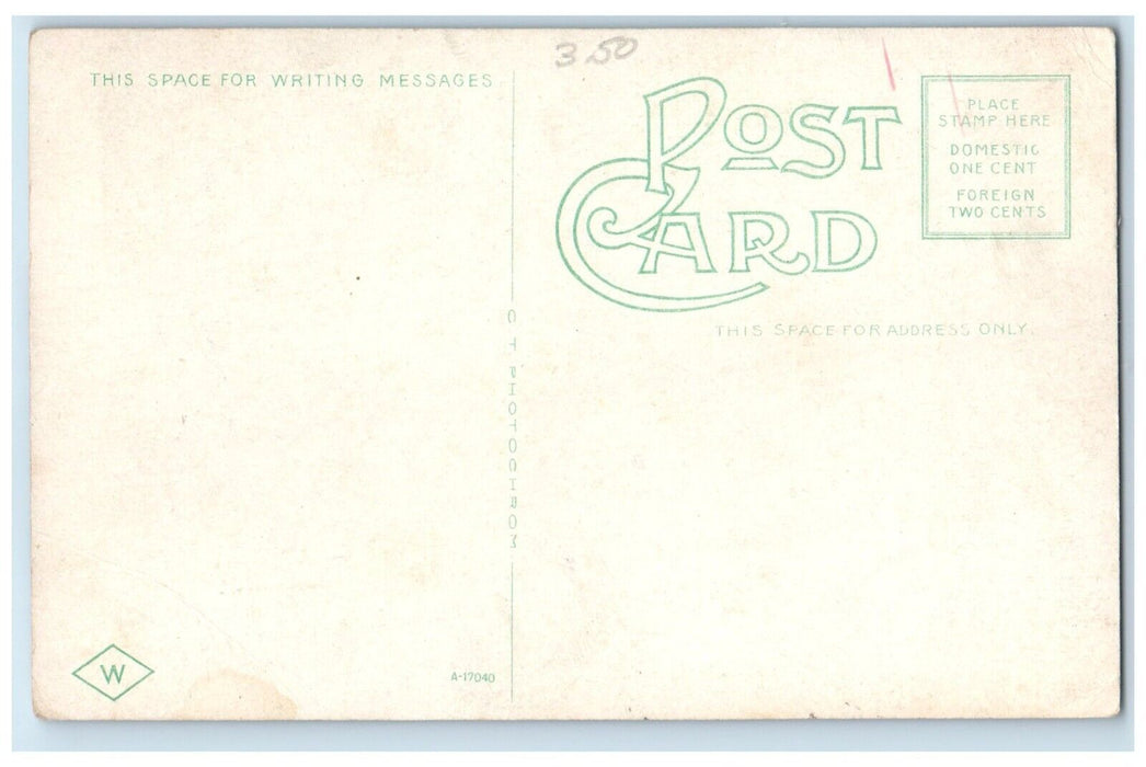 c1910 First Street East Pine Street Exterior Houses Corning New York NY Postcard