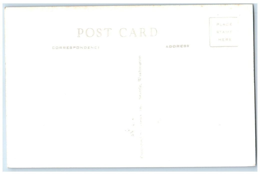 c1930's View Of Steven's Pass Highway Washington WA RPPC Photo Vintage Postcard