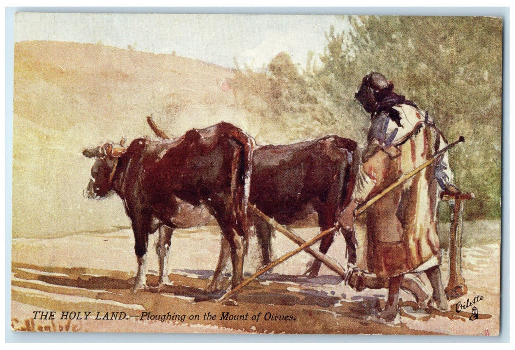 1908 Ploughing on the Mount of Olives Holy Land Israel Oilette Tuck Art Postcard