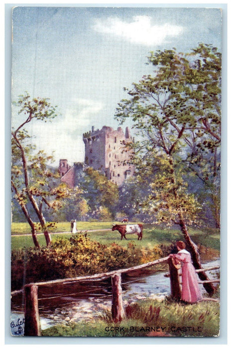 c1910 Blarney Castle Cork Ireland Antique Oilette Tuck Art Postcard